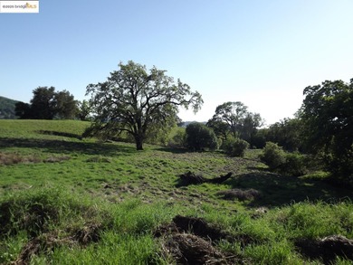Wine Country Ranch for sale. 664 acres in 3 parcels of beautiful - photo 3