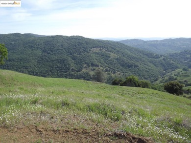 Wine Country Ranch for sale. 664 acres in 3 parcels of beautiful - photo 5