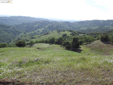 Wine Country Ranch for sale. 664 acres in 3 parcels of beautiful - photo 6