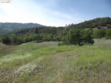 Wine Country Ranch for sale. 664 acres in 3 parcels of beautiful - photo 7