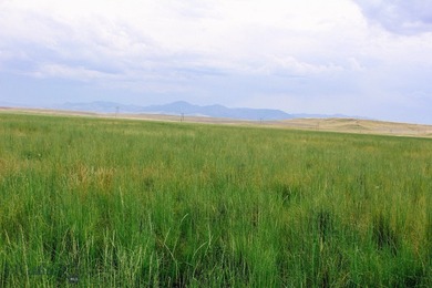 (private lake, pond, creek) Acreage For Sale in Cascade Montana