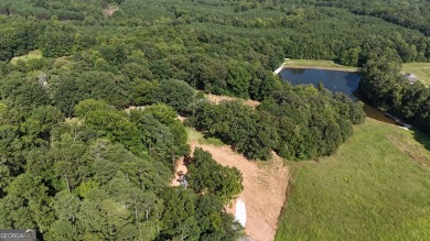 Lake Acreage For Sale in Dallas, Georgia