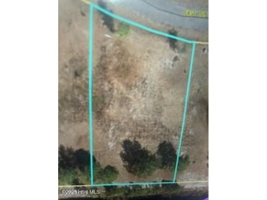 Lake Lot For Sale in Harrells, North Carolina