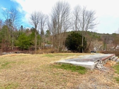 Nearly 4 Acres with Delaware River Frontage - photo 6