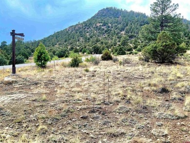Connie Goodnight, Land Properties, LLC, C:,,: Stunning Golf - photo 4
