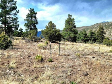 Connie Goodnight, Land Properties, LLC, C:,,: Stunning Golf - photo 5