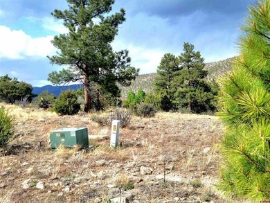Connie Goodnight, Land Properties, LLC, C:,,: Stunning Golf - photo 6