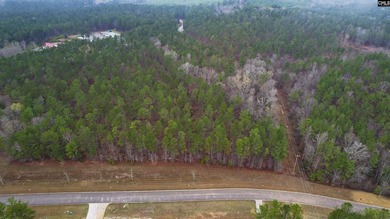 Lake Wateree is a 21-square-mile lake in Kershaw, Fairfield, and - photo 12