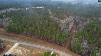 Lake Wateree is a 21-square-mile lake in Kershaw, Fairfield, and - photo 13