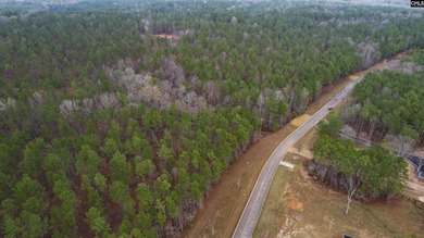 Lake Wateree is a 21-square-mile lake in Kershaw, Fairfield, and - photo 15
