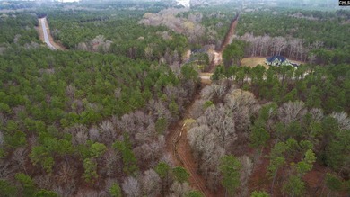 Lake Wateree is a 21-square-mile lake in Kershaw, Fairfield, and - photo 18