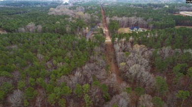 Lake Wateree is a 21-square-mile lake in Kershaw, Fairfield, and - photo 19
