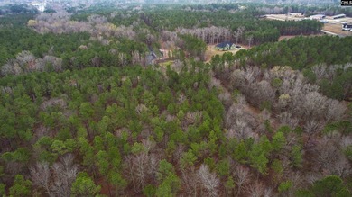 Lake Wateree is a 21-square-mile lake in Kershaw, Fairfield, and - photo 20