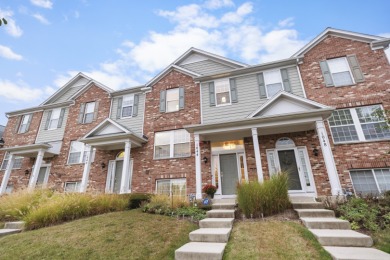 Lake Townhome/Townhouse For Sale in Elgin, Illinois