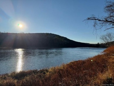 Nearly 4 Acres with Delaware River Frontage - photo 11