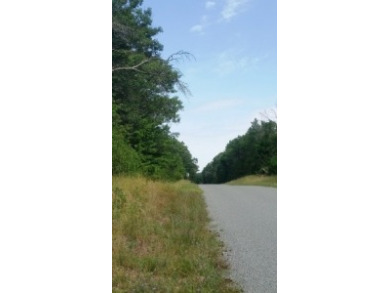 Deeded Lake Access, Daily Docking Rights - photo 3