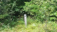 Deeded Lake Access, Daily Docking Rights - photo 4