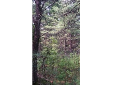 Deeded Lake Access, Daily Docking Rights - photo 5