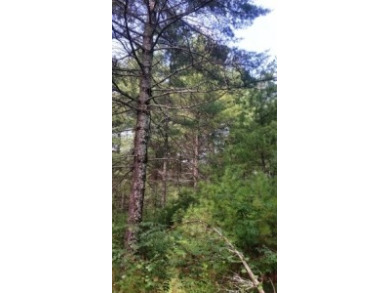 Deeded Lake Access, Daily Docking Rights - photo 6