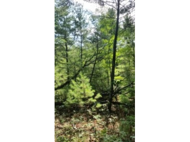 Deeded Lake Access, Daily Docking Rights - photo 7
