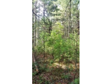 Deeded Lake Access, Daily Docking Rights - photo 8