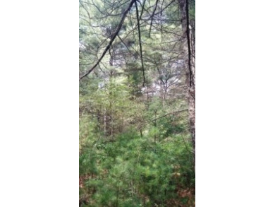 Deeded Lake Access, Daily Docking Rights - photo 9