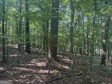 Beautiful culdesac lot to build your Dream home. Located in - photo 3