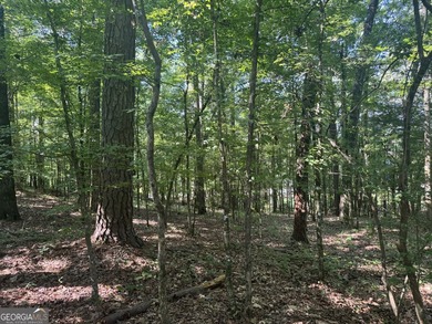 Beautiful culdesac lot to build your Dream home. Located in - photo 4