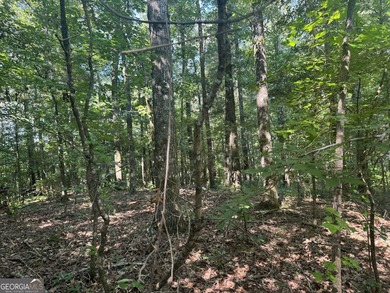 Beautiful culdesac lot to build your Dream home. Located in - photo 6