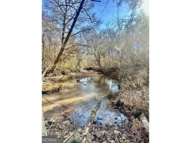 (private lake, pond, coastal) Acreage For Sale in Shady Dale Georgia