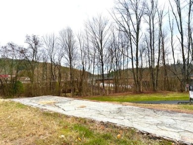 Nearly 4 Acres with Delaware River Frontage - photo 3