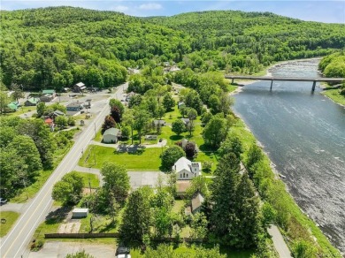 Delaware River - Sullivan County Home For Sale in Barryville New York