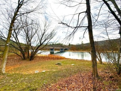 Nearly 4 Acres with Delaware River Frontage - photo 2