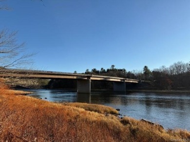 Nearly 4 Acres with Delaware River Frontage - photo 5