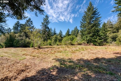 EXTREMELY RARE. 16.85 acres undeveloped and inside the city - photo 3