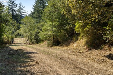 EXTREMELY RARE. 16.85 acres undeveloped and inside the city - photo 6