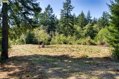 EXTREMELY RARE. 16.85 acres undeveloped and inside the city - photo 7