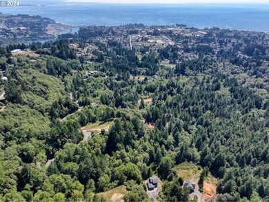 EXTREMELY RARE. 16.85 acres undeveloped and inside the city - photo 8