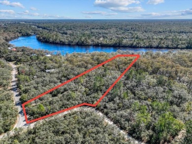 Lake Acreage For Sale in Fanning Springs, Florida