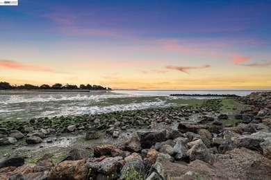 Welcome to resort-style living in the heart of vibrant Alameda - photo 22