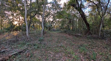 (private lake, pond, creek) Lot For Sale in Floral City Florida