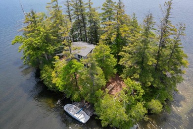 Early visitors to Squam Lake came seeking an escape from - photo 2
