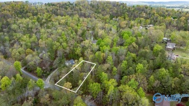 Lake Lot For Sale in Southside, Alabama