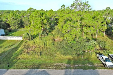 Lehigh Acres Area Lot For Sale in Lehigh Acres Florida