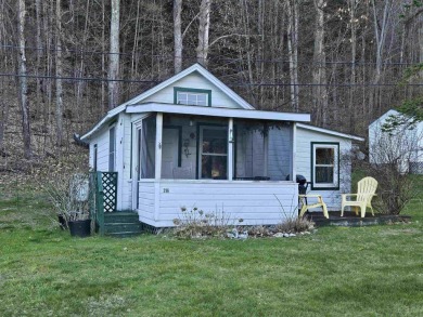 Lake Dunmore Condo For Sale in Salisbury Vermont