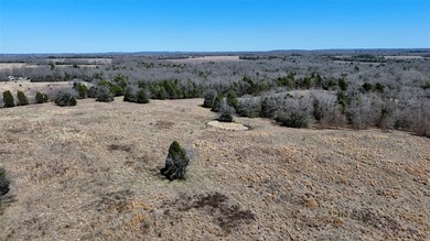 84.48 Acres of Prime Rolling Wooded and Pastureland with 1,168 - photo 11