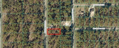 Bonable Lake Lot For Sale in Dunnellon Florida