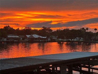 Virtually Staged. PRICED TO SELL!!! Waterfront Living on the St - photo 22