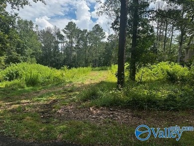 Build your dream home on this stunning .65 acre lot perfectly - photo 2