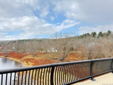 Nearly 4 Acres with Delaware River Frontage - photo 7